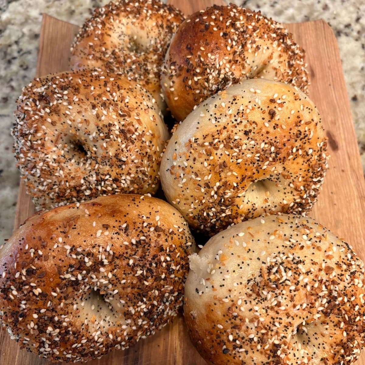 Fresh Everything Bagels