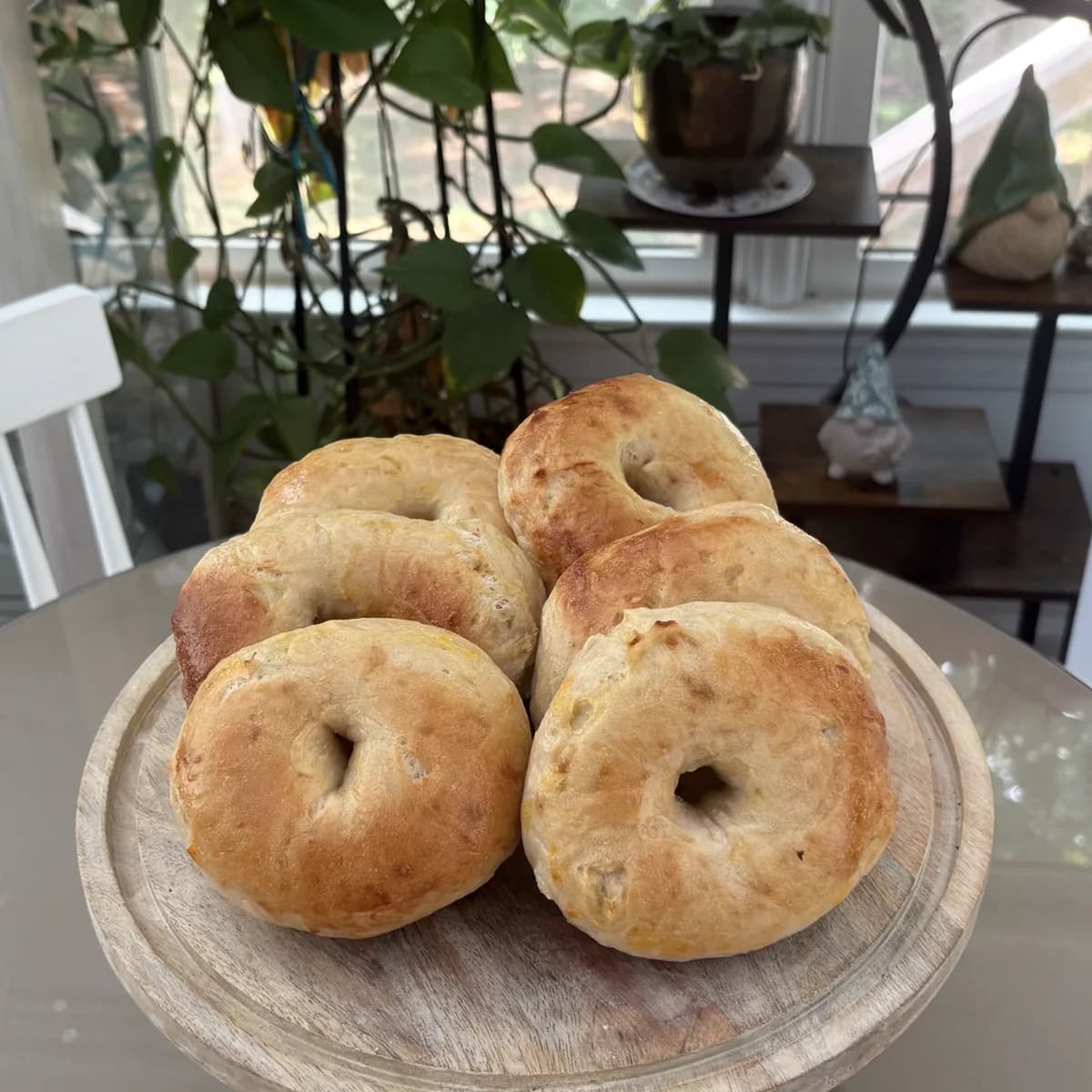 Fresh Plain Bagels